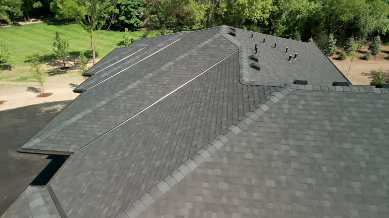 Best Sheet Metal Roofing  in Ravenna, MI