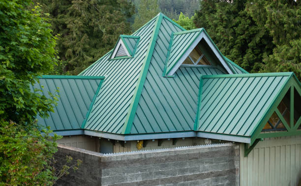 Best Roof Replacement  in Ravenna, MI