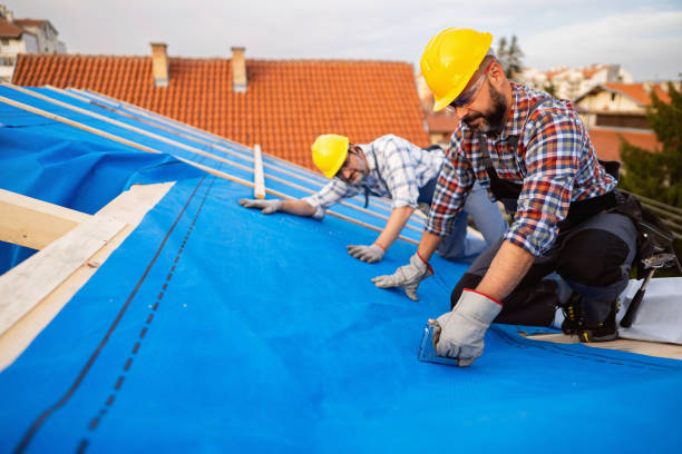 Best Metal Roofing Installation  in Ravenna, MI