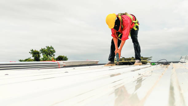 Best Asphalt Shingle Roofing  in Ravenna, MI