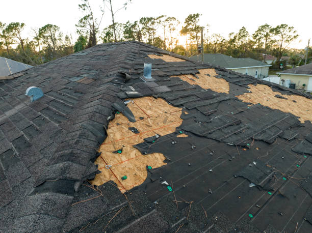 Best Storm Damage Roof Repair  in Ravenna, MI