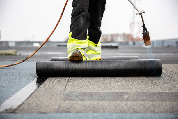 Best Roof Leak Repair  in Ravenna, MI