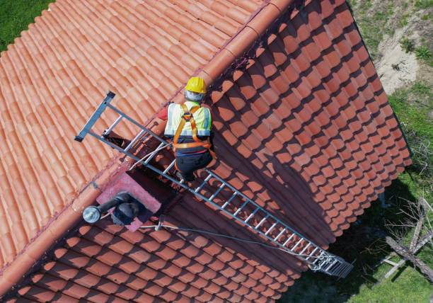 Best Asphalt Shingle Roofing  in Ravenna, MI