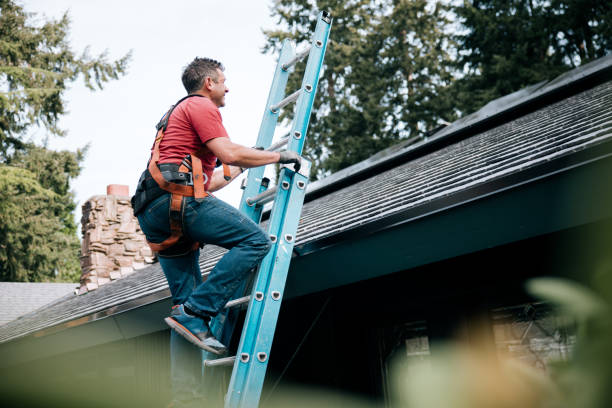 Best Metal Roofing Installation  in Ravenna, MI